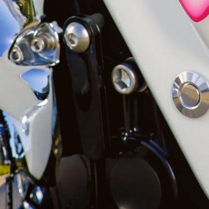 Naked Series Pair of Passenger Peg Mount Block-off Plates for Harley-Davidson Touring